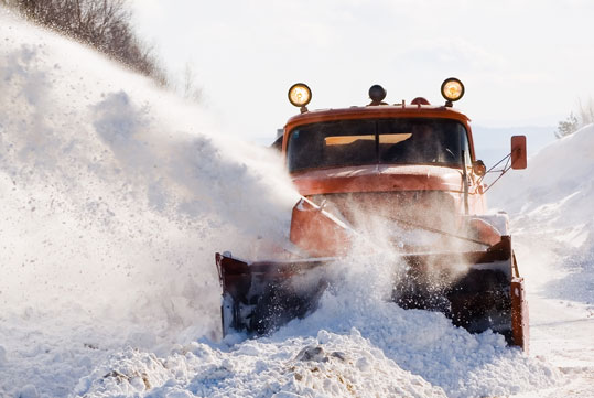 Salgelo _ Trattamenti diversificati